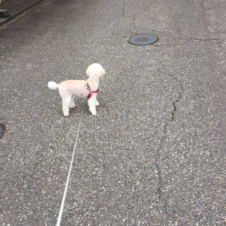 Cd6b54b5 8abe 4c76 a9be 5ceb1de3cbb2