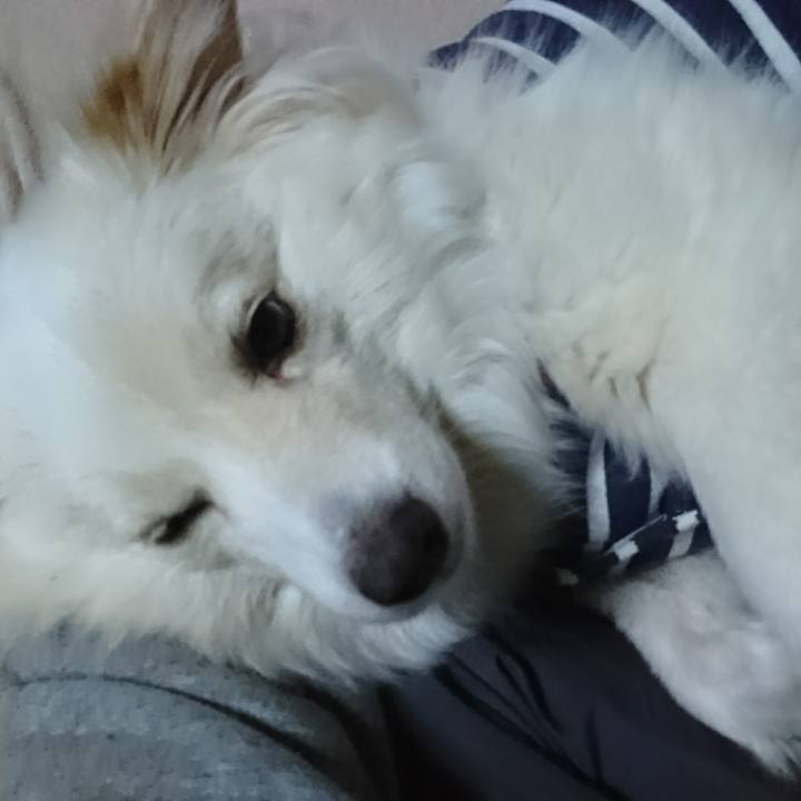 Cd6b6c7f ab5e 4567 9c32 88fb2b5d3e0b