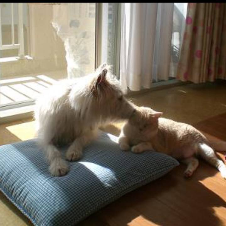 Cd6ba237 31a0 485b bcde 078d3caa8654