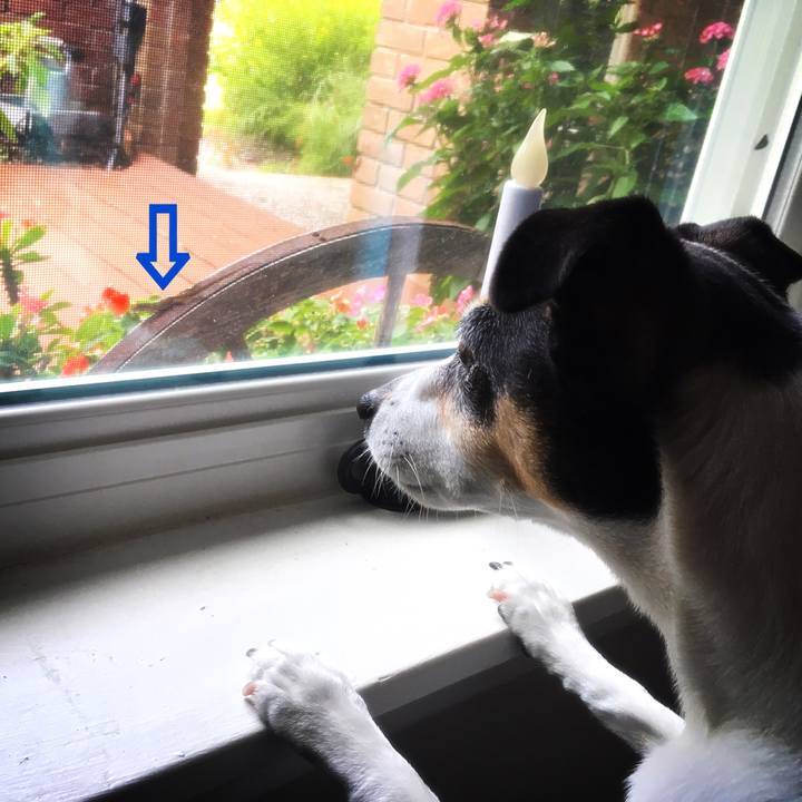 Cd6be97b fbe7 4f18 a496 8b6465443b2c