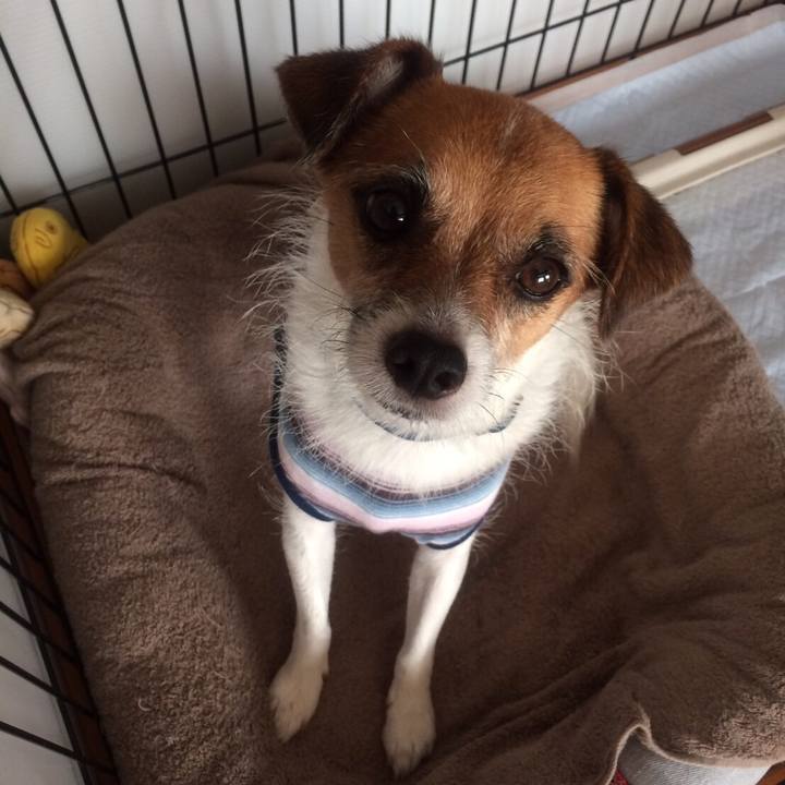 Cd6c2b3a 8588 4b2f b329 502d395a1000