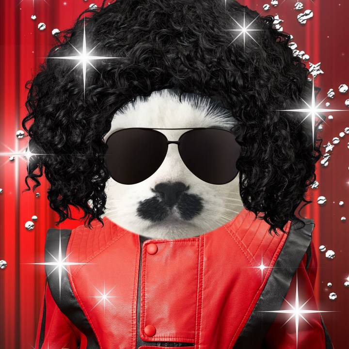 Cd6c54be 83e1 4ada 9b3a b63cc032cd7c