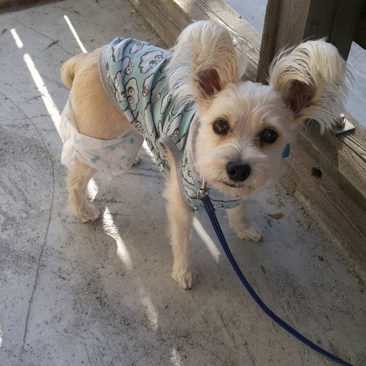 Cd6cc933 762d 4175 9870 552e8eb9d03f