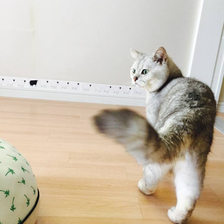 Cd6cf387 9cf6 4bef 890c 0afe17903c45