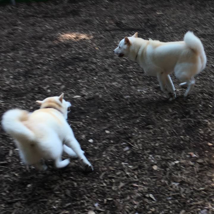 Cd6d2f8d a34c 4f0a 8bc6 7652072fa63d