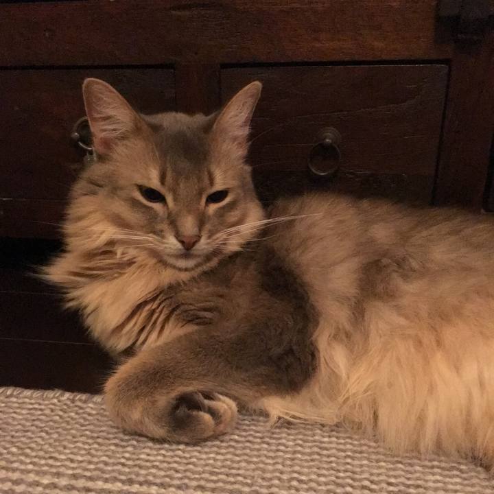 Cd6e3d63 f36b 4496 b35b c9995ea013f5