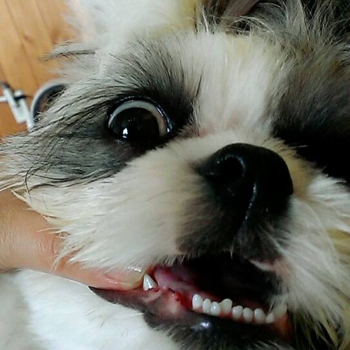 Cd6e41d9 4c08 496c bae3 be7388c5f0ae