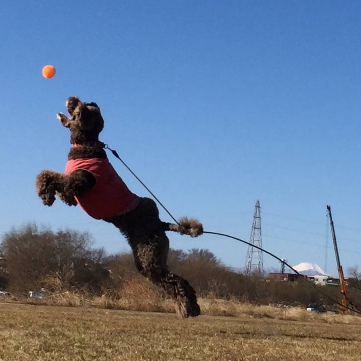 Cd6e78b9 16e1 4d0b a527 8a25f1e4cd21