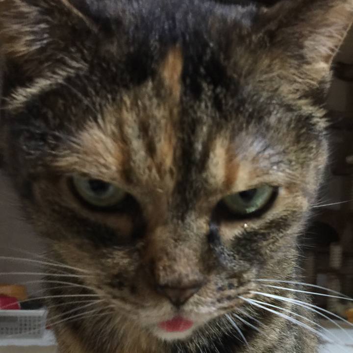 Cd6eba36 d7cb 4939 8dd9 7d9e012dd9f0