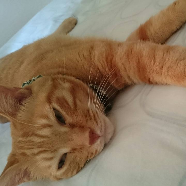 Cd6eff58 64ed 4377 aac4 230d10d09121