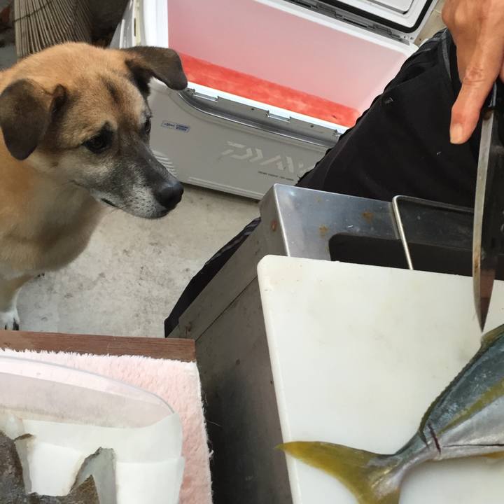 Cd6f52a7 133a 4110 b71a 399b57721787