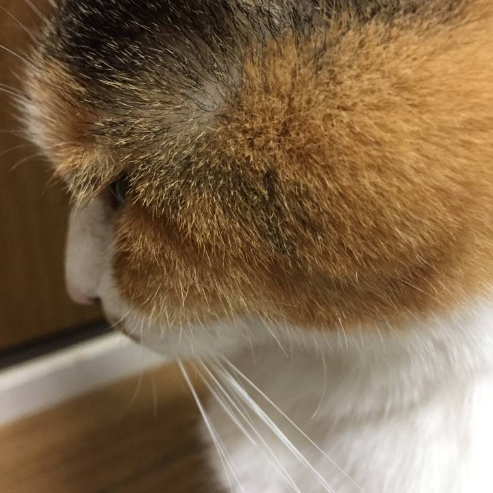 Cd70e036 76f6 411e b305 182c050cc524