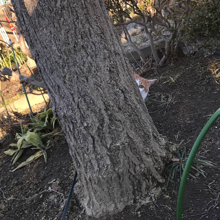 Cd7196e9 997f 4247 a3a9 50329f68ed14