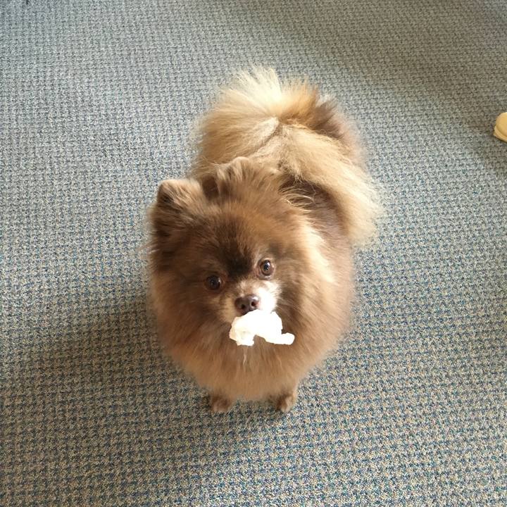 Cd71e52d a7b4 4493 8687 1969871275e3