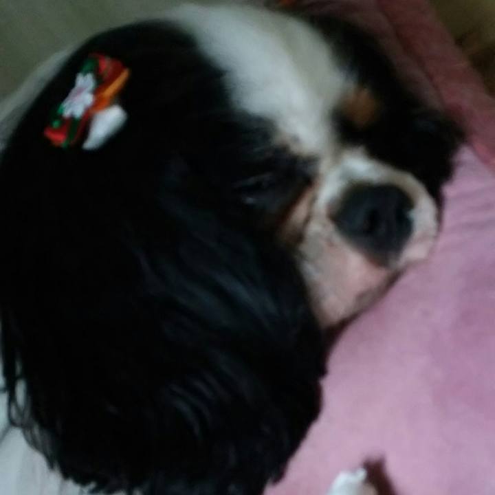 Cd71f2f3 b75c 473b a7a3 0f47b598a829