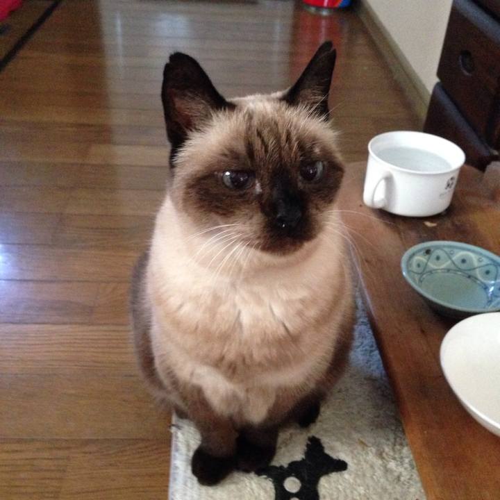 Cd732a79 fc04 44a6 a62e 3342b32dbcf1