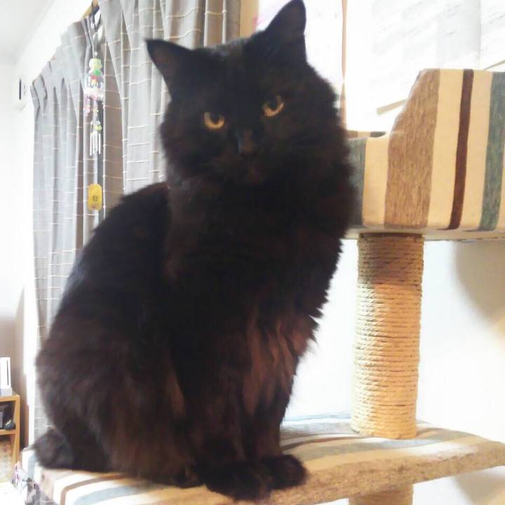 Cd737b0a 05a2 4c65 a565 16b6484e7e2e