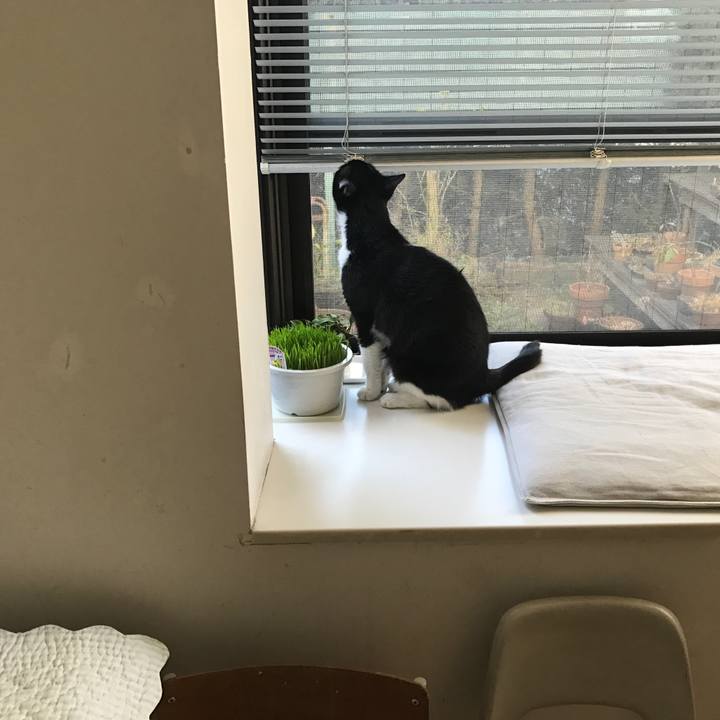 Cd73a2cc 0170 4086 8382 828f19b6021f