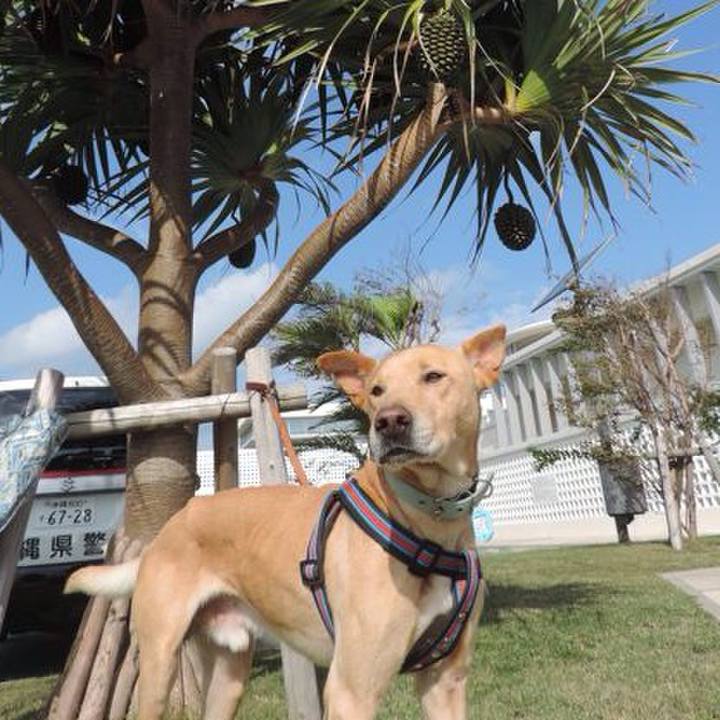 Cd74388a 1f9f 4c45 99ed 0c168ca89916