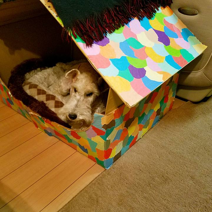 Cd761f7a 3f93 45bf 83ea b27e47af21b2