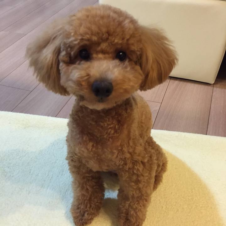 Cd76e20c 76c7 4e0e 9cfe d7014e770813