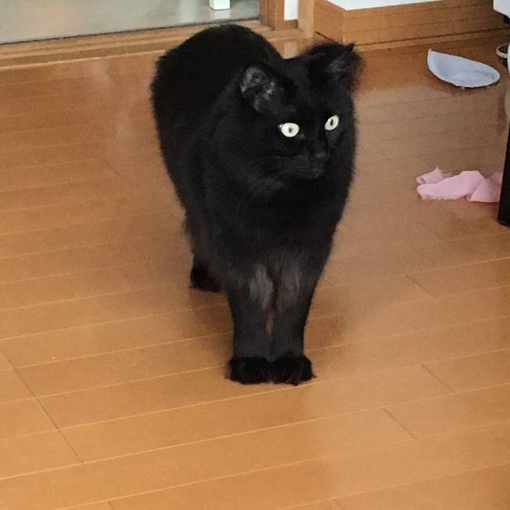 Cd771911 7c24 4dc4 8859 b14a80ada00d