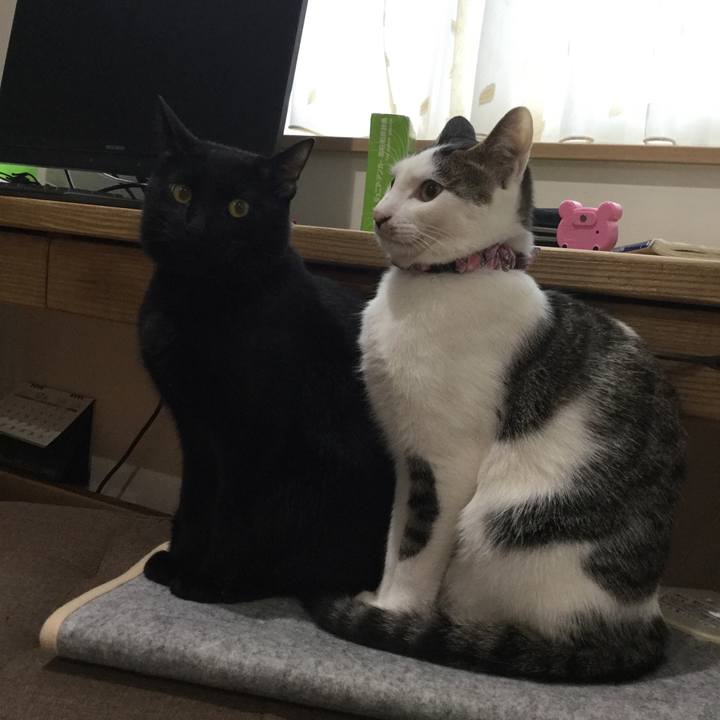 Cd779315 33bf 4d16 b727 6bd5aaf78c7e