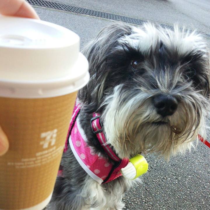 Cd77a000 1198 405d a61f 7a94cf25b063