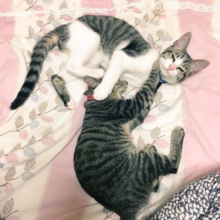 Cd77b05b fa73 45f8 ba96 0a31f3ccf778