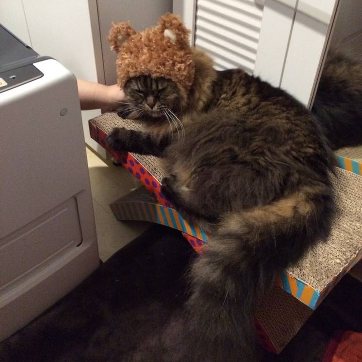 Cd77f97b deb4 40c3 a6dc 4321c53d9b02