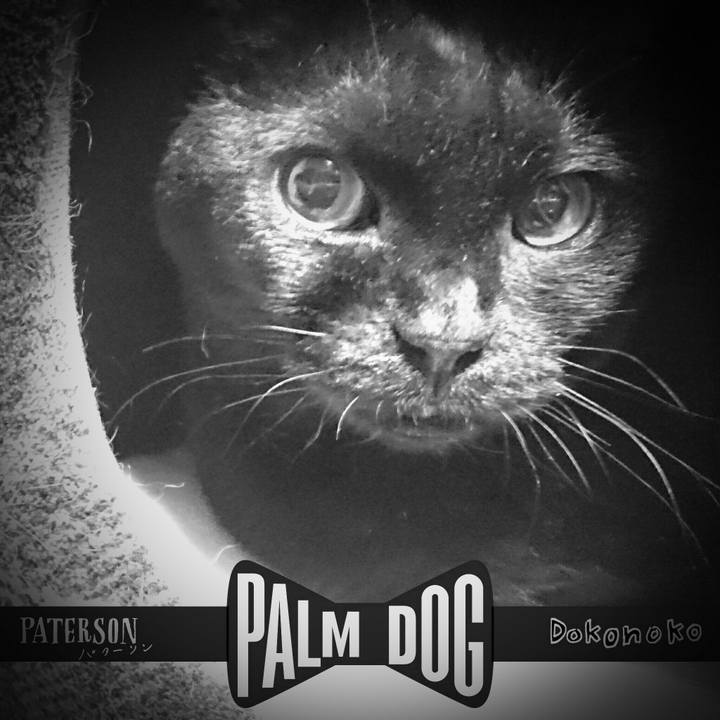 Cd7800fa 26d4 44e8 9b05 25509ed8d12c