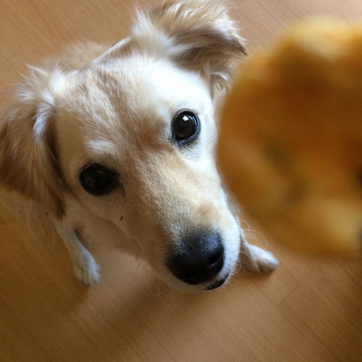 Cd78194b 0cb8 46ad 868f e981b11e3b7a