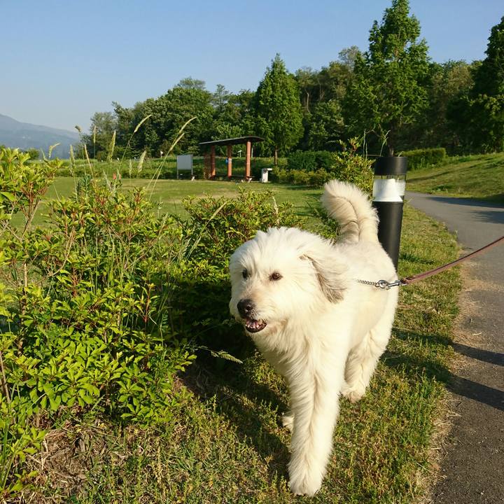 Cd787a08 8aae 48f3 a37e fe7c530f2aa5