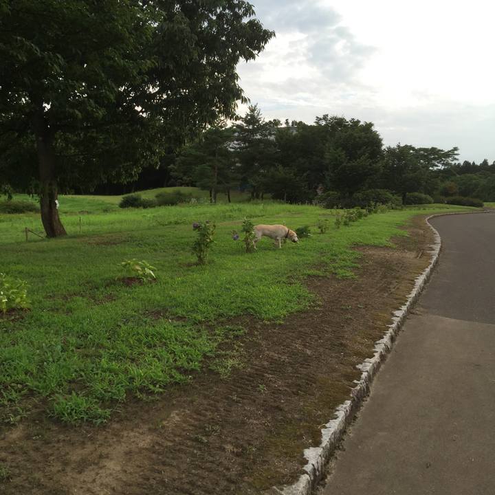 Cd789cab d6bd 4692 8bee 3a51cbd6b915