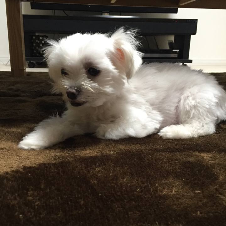 Cd78d31c cac1 487a bd8d 579e4ee0ca63