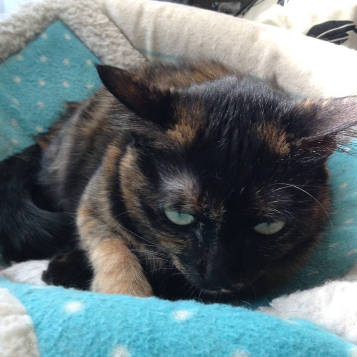 Cd790a11 47eb 4383 a099 9e59a92b06d0