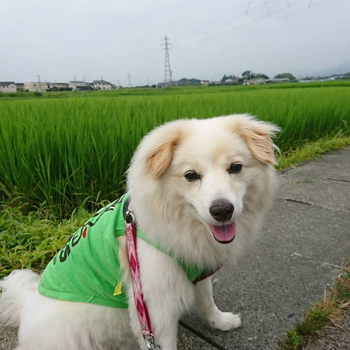 Cd7917fb ecfa 4727 b018 1eb50df9d5f1