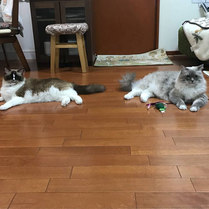 Cd7963f3 eaae 4128 8bf5 2153ad8aec71