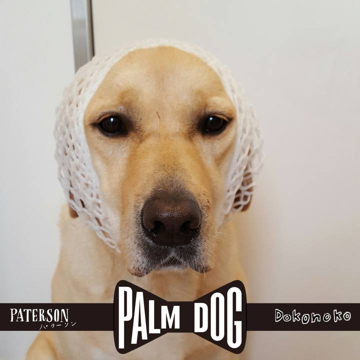 Cd79951a 84c4 46ce b9ac 83e58f7d80fe