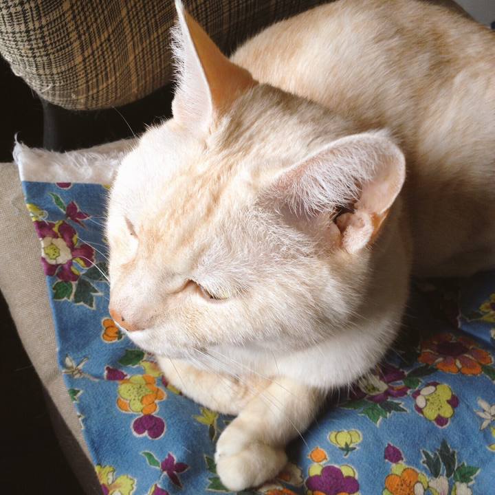 Cd79d0c9 fae4 4a13 bf63 8d2209846638