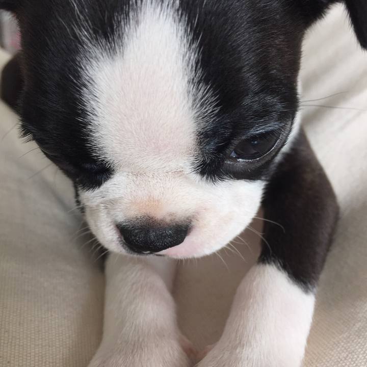 Cd7a0e52 b6c4 4807 8bdd 4f2fe7a2c2d8