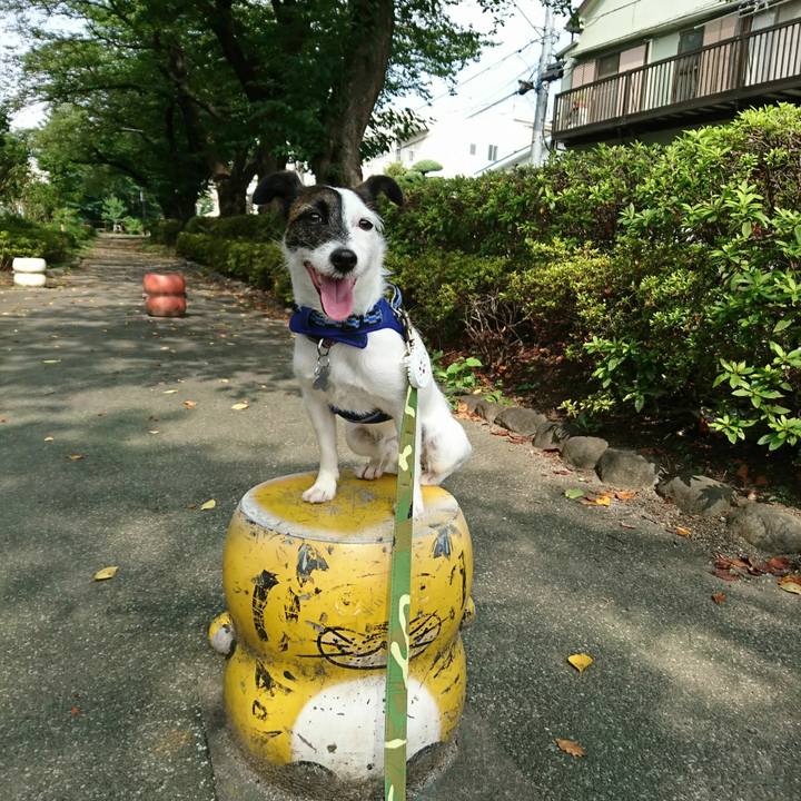 Cd7a886c 4275 4a59 8c4a ce36a58590a0