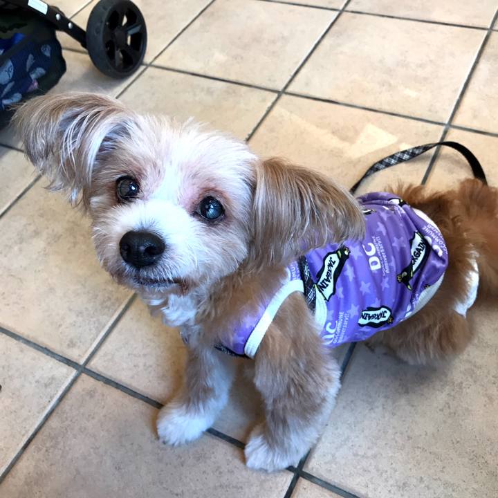 Cd7aa5ba 6724 465d bdb4 fbe70f72a9d3