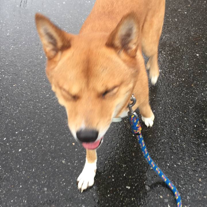 Cd7b3150 13ca 4bb8 9876 e362f03166de