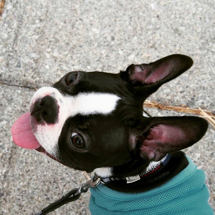 Cd7b40be d913 402b 91e9 6a4e8ca8a761