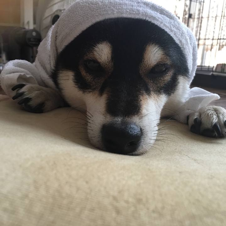 Cd7b66e3 2bef 4c23 b280 7334e8488487