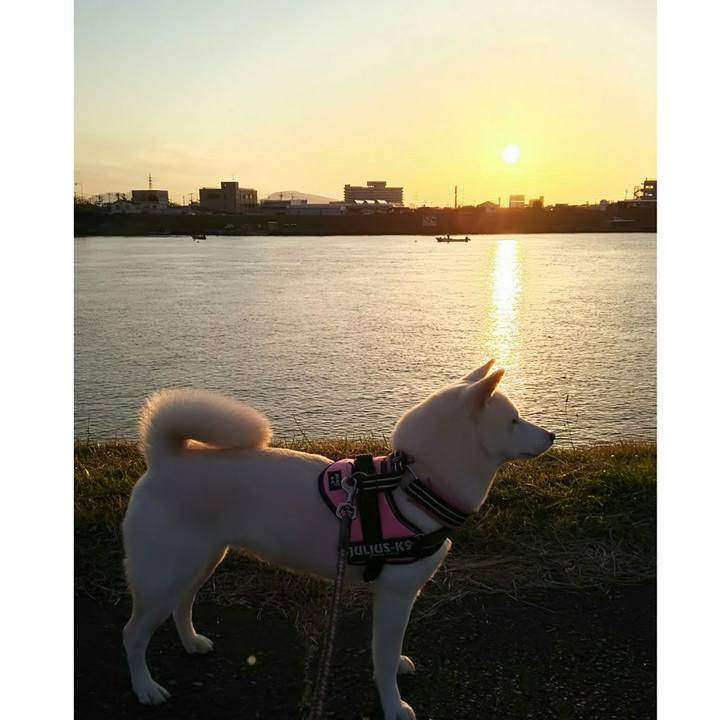 Cd7bf097 4c54 495d 8b2b ddf5d1d03c30