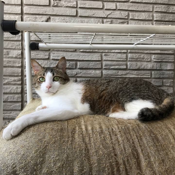 Cd7c2dc9 8454 49f3 9e89 b26fe9ab712f