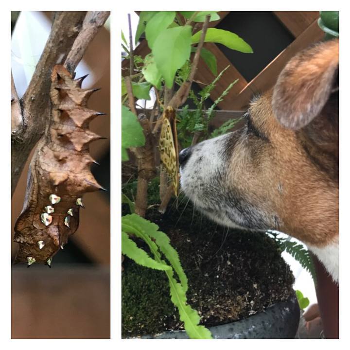 Cd7c6686 27b1 4c01 ac35 d59a023a0ddb