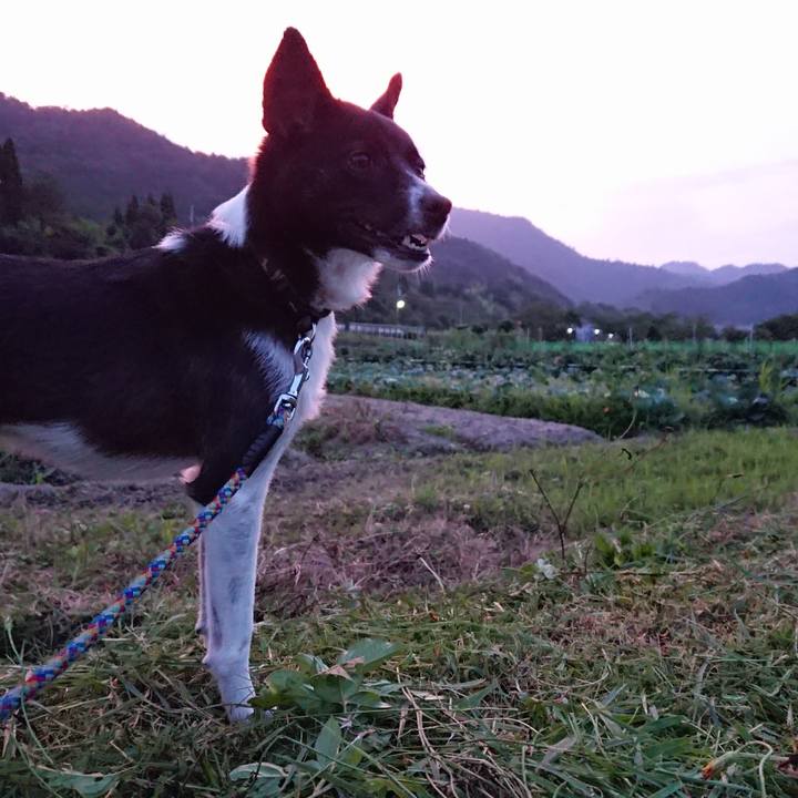 Cd7c734a 7be0 4733 9b22 29fe1529a3b6